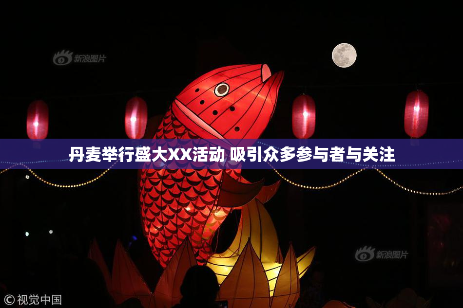 丹麦举行盛大XX活动 吸引众多参与者与关注