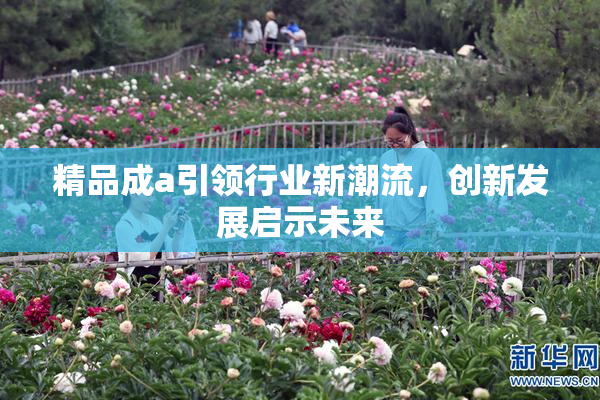 精品成a引领行业新潮流，创新发展启示未来