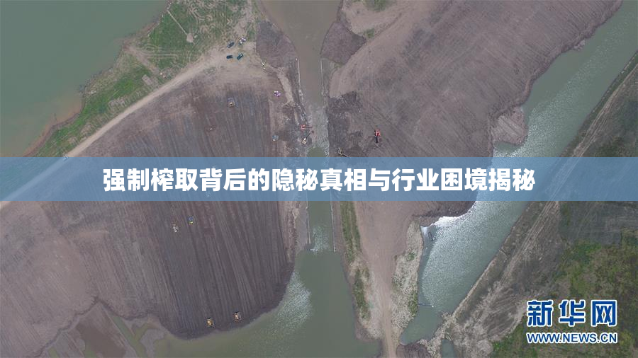 强制榨取背后的隐秘真相与行业困境揭秘