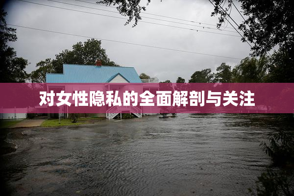 对女性隐私的全面解剖与关注