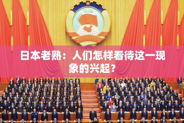 日本老熟：人们怎样看待这一现象的兴起？
