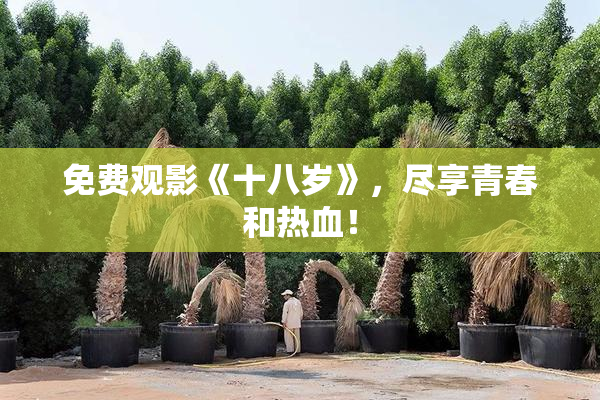 免费观影《十八岁》，尽享青春和热血！