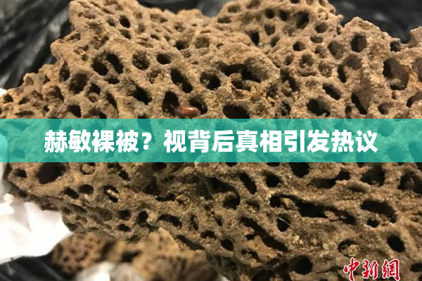 赫敏裸被？视背后真相引发热议