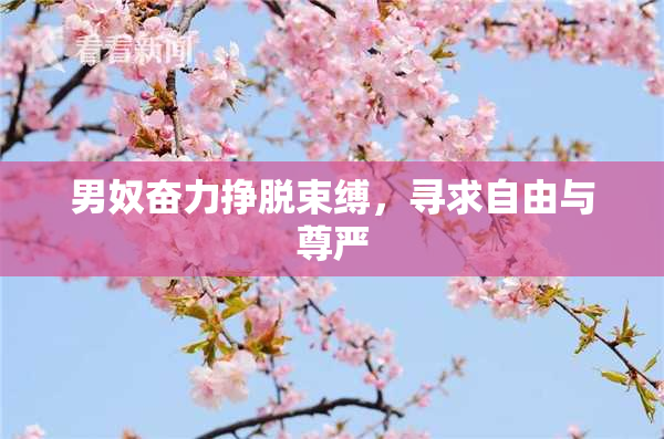 男奴奋力挣脱束缚，寻求自由与尊严