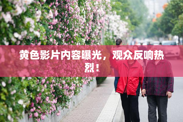 黄色影片内容曝光，观众反响热烈！