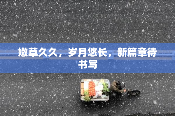 嫩草久久，岁月悠长，新篇章待书写