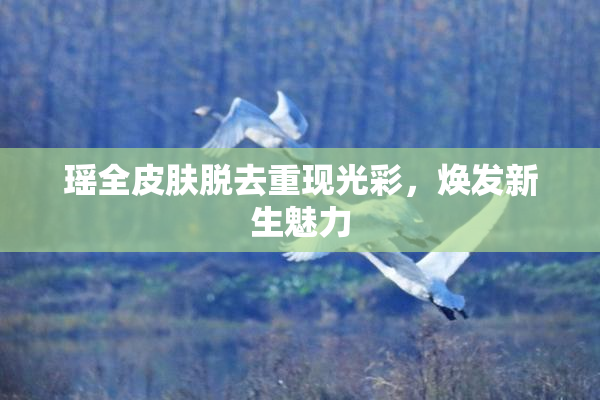 瑶全皮肤脱去重现光彩，焕发新生魅力