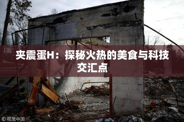 夹震蛋H：探秘火热的美食与科技交汇点