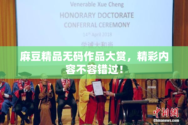 麻豆精品无码作品大赏，精彩内容不容错过！