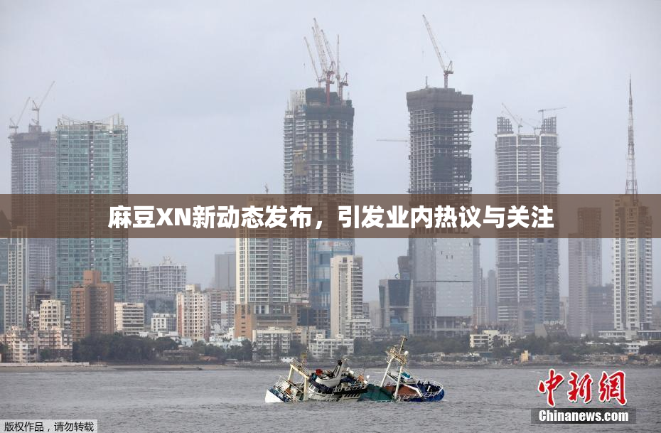 麻豆XN新动态发布，引发业内热议与关注