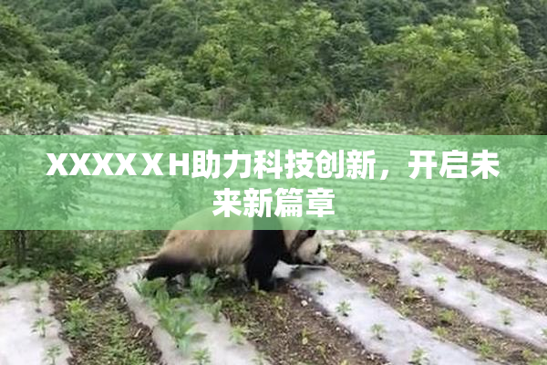 XXXXⅩH助力科技创新，开启未来新篇章