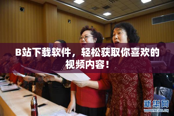 B站下载软件，轻松获取你喜欢的视频内容！