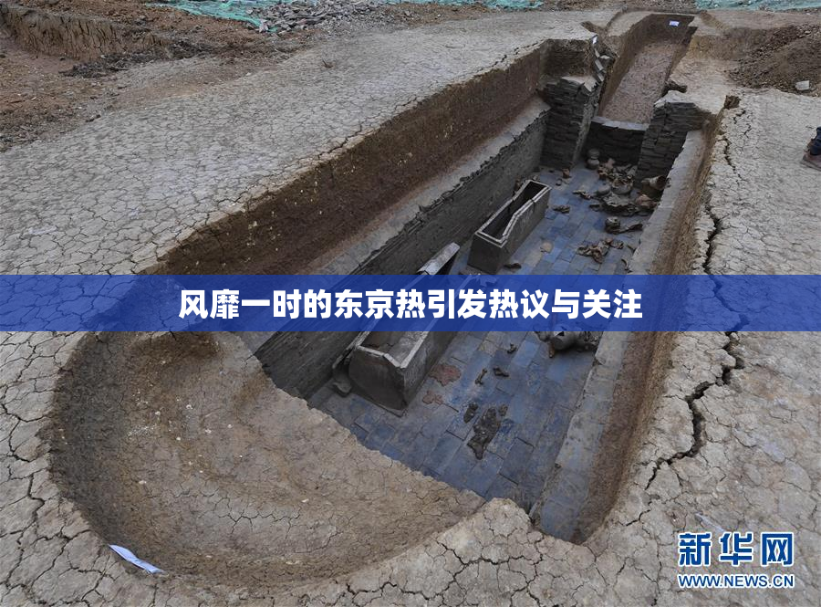 风靡一时的东京热引发热议与关注