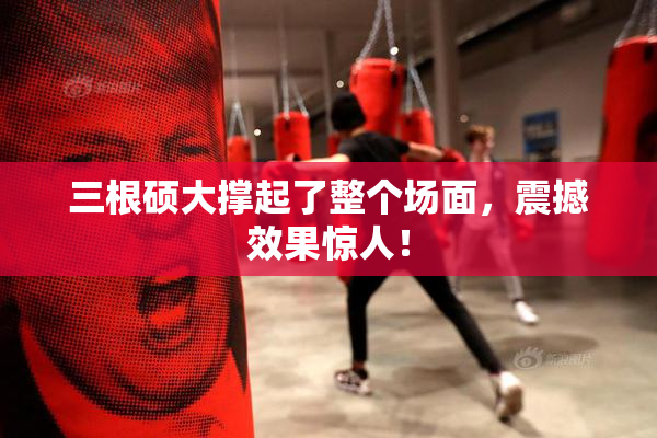 三根硕大撑起了整个场面，震撼效果惊人！