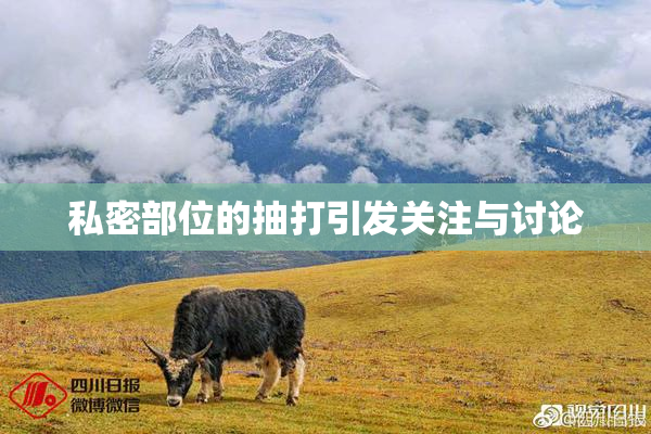 私密部位的抽打引发关注与讨论