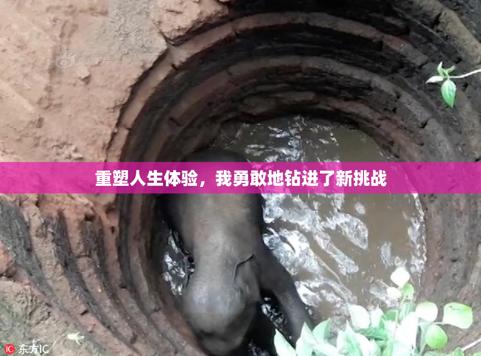 重塑人生体验，我勇敢地钻进了新挑战