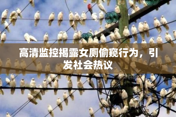 高清监控揭露女厕偷窥行为，引发社会热议