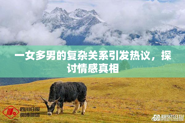 一女多男的复杂关系引发热议，探讨情感真相