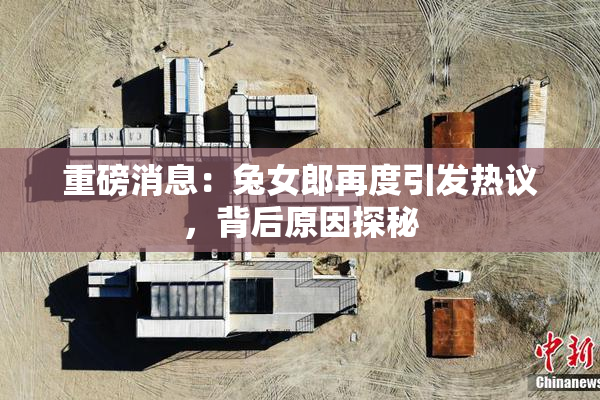重磅消息：兔女郎再度引发热议，背后原因探秘