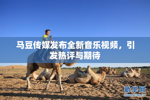 马豆传媒发布全新音乐视频，引发热评与期待