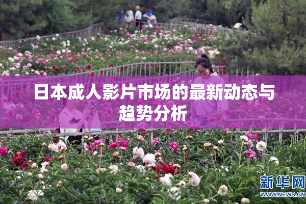日本成人影片市场的最新动态与趋势分析