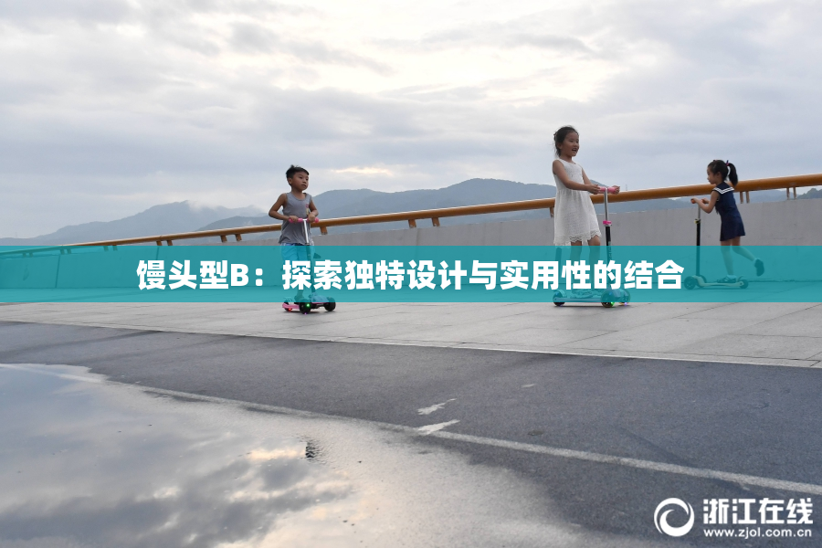 馒头型B：探索独特设计与实用性的结合
