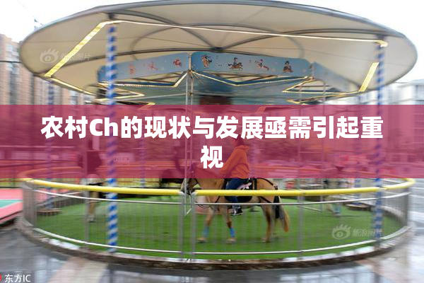 农村Ch的现状与发展亟需引起重视