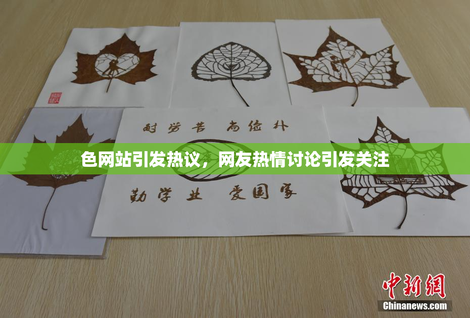 色网站引发热议，网友热情讨论引发关注