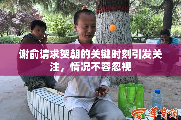 谢俞请求贺朝的关键时刻引发关注，情况不容忽视