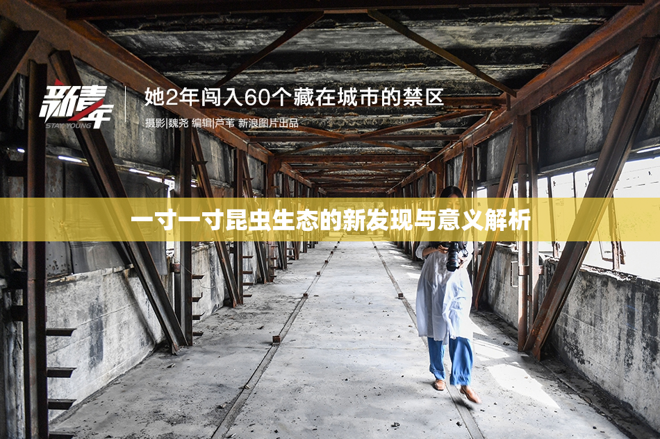 一寸一寸昆虫生态的新发现与意义解析