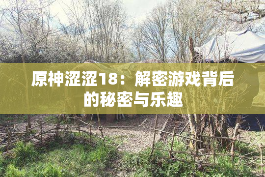原神涩涩18：解密游戏背后的秘密与乐趣
