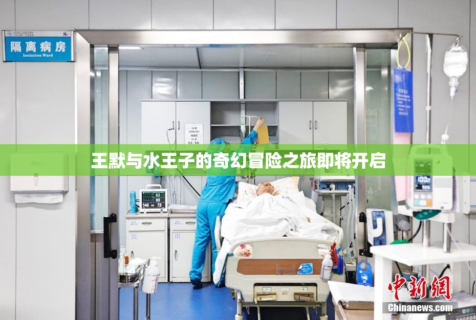 王默与水王子的奇幻冒险之旅即将开启