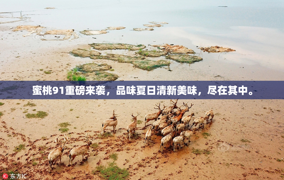 蜜桃91重磅来袭，品味夏日清新美味，尽在其中。
