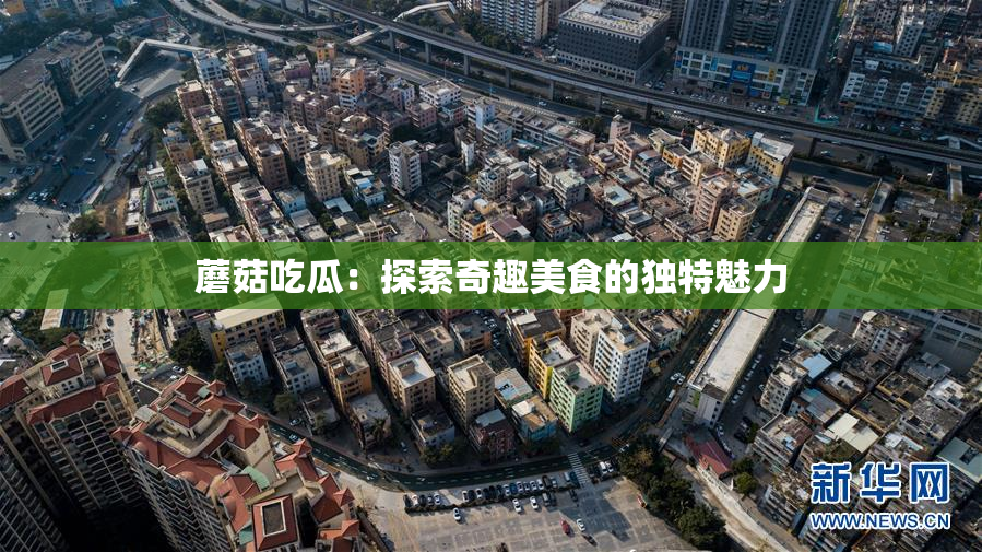 蘑菇吃瓜：探索奇趣美食的独特魅力
