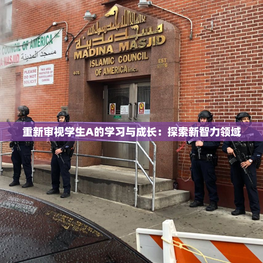 重新审视学生A的学习与成长：探索新智力领域