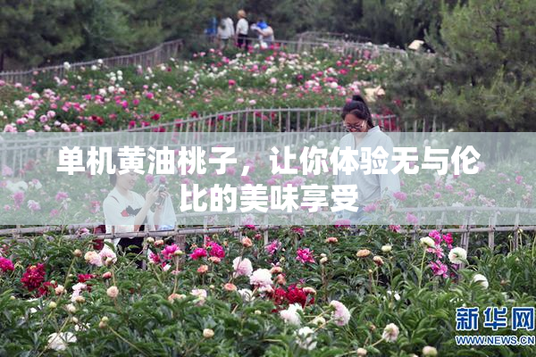 单机黄油桃子，让你体验无与伦比的美味享受