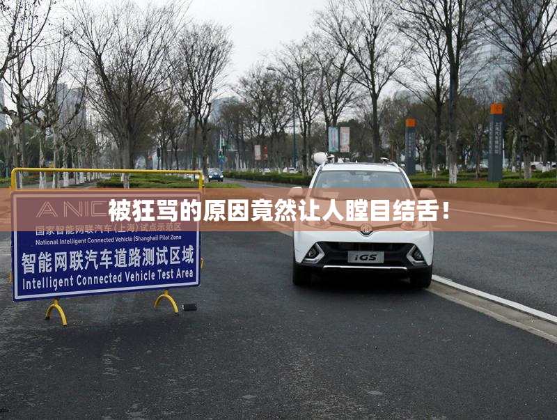 被狂骂的原因竟然让人瞠目结舌！
