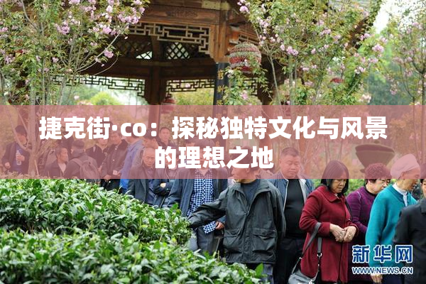捷克街·co：探秘独特文化与风景的理想之地