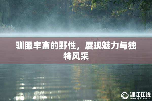 驯服丰富的野性，展现魅力与独特风采