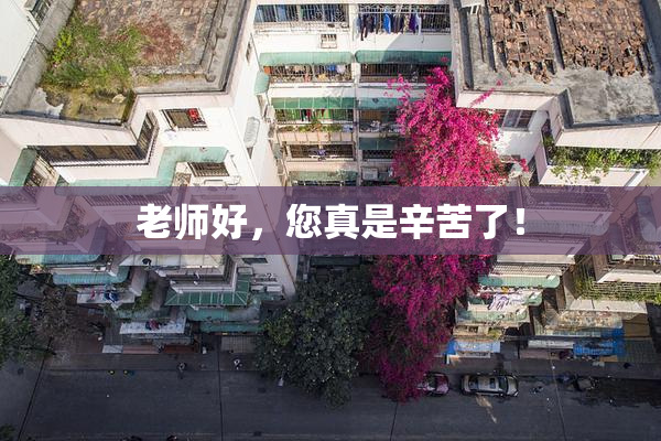 老师好，您真是辛苦了！
