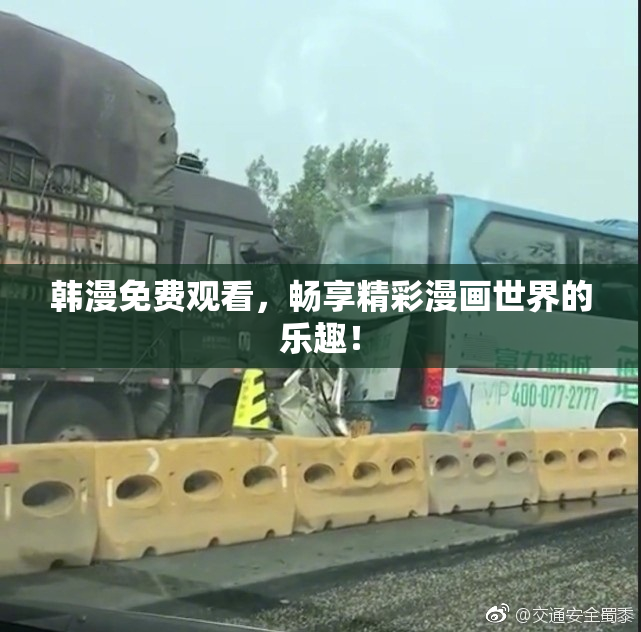 韩漫免费观看，畅享精彩漫画世界的乐趣！