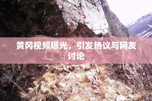 黄冈视频曝光，引发热议与网友讨论