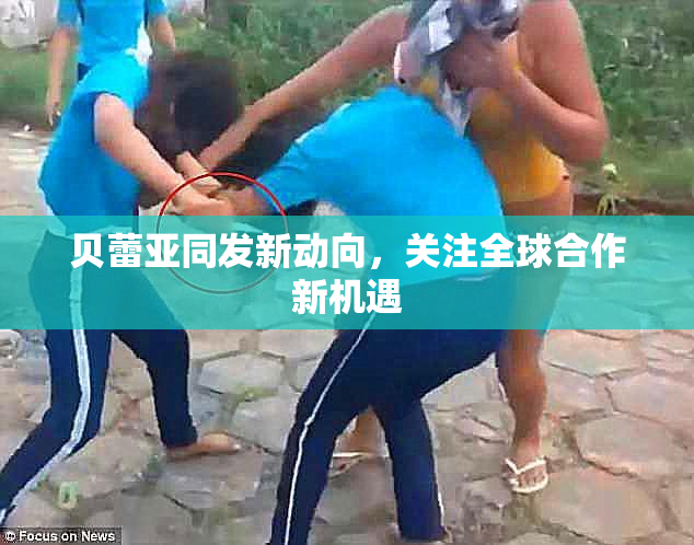 贝蕾亚同发新动向，关注全球合作新机遇