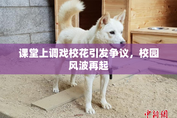 课堂上调戏校花引发争议，校园风波再起