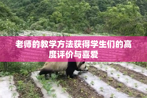 老师的教学方法获得学生们的高度评价与喜爱