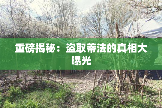 重磅揭秘：盗取蒂法的真相大曝光