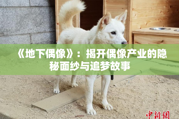 《地下偶像》：揭开偶像产业的隐秘面纱与追梦故事
