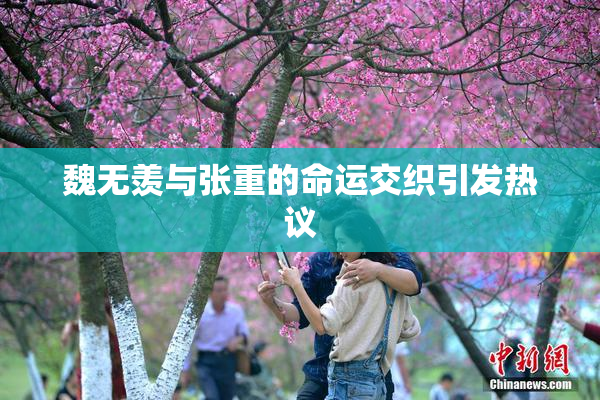 魏无羡与张重的命运交织引发热议