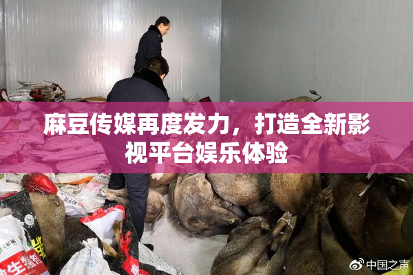 麻豆传媒再度发力，打造全新影视平台娱乐体验