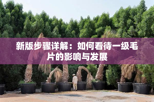 新版步骤详解：如何看待一级毛片的影响与发展